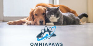 OmniaPaws Elevates Pet Comfort and Style with Premium Dog and Cat Products