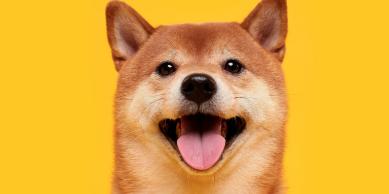 Shiba Inu shutterstock 1604677465 16x9 1 gID 7.jpg@png