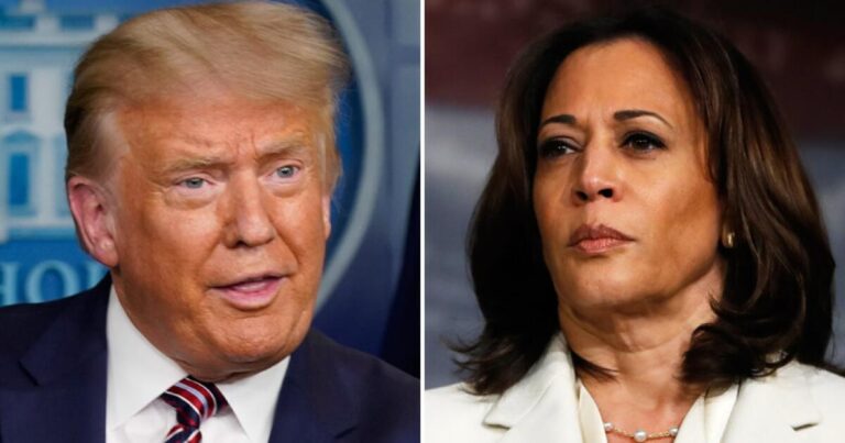 trump and harris