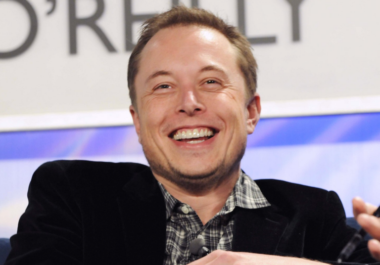 musk wiki 0