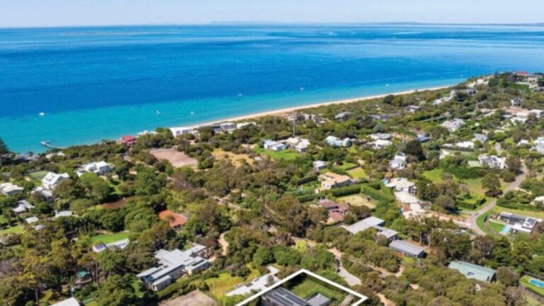 A private oasis close to the beach. Image realestate.com .au 1024x576