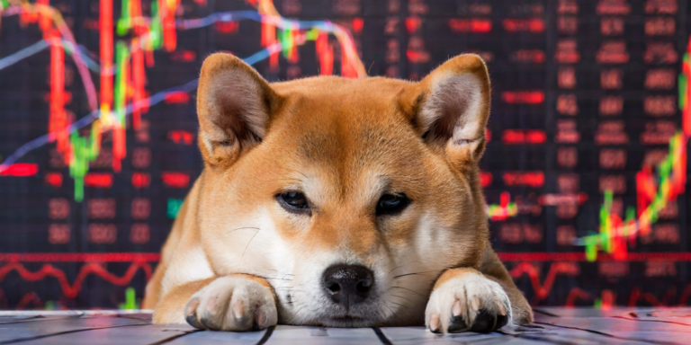 bonk sad shiba inu red stock charts scaled gID 7.jpg@png